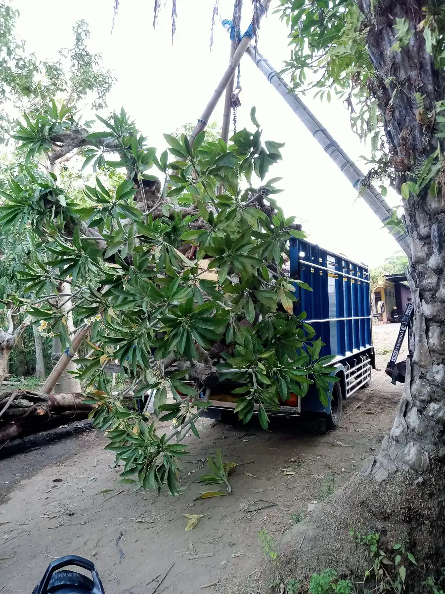 Galeri Foto Alamku Asri 7