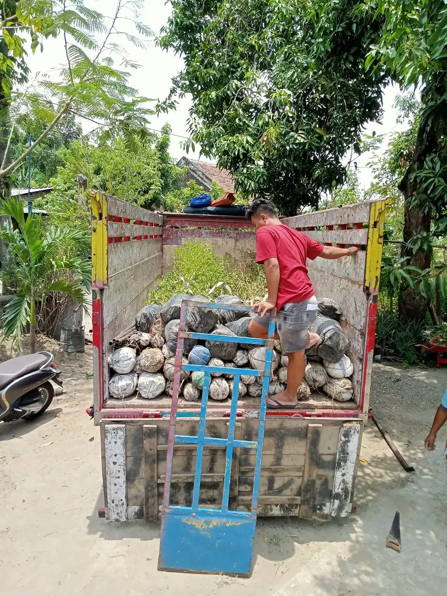 Galeri Foto Alamku Asri 8